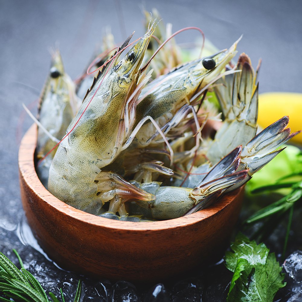 Raw shrimps prawns on ice in bowl, Fresh shrimp seafood with herbs and spice